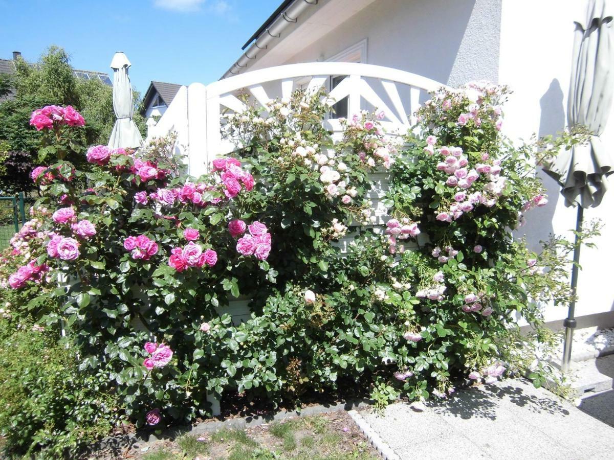 Lilly & Fine Apartment Zingst Exterior photo